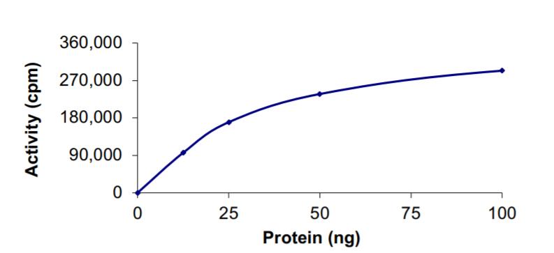380 nmol/min/mg
